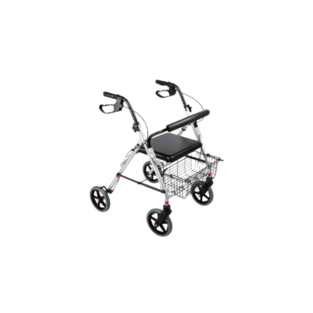 The Travelers Bag Walker  (with parking and parking brake)